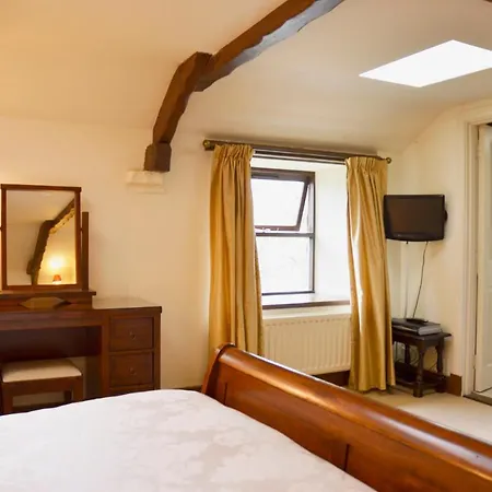 Chestnut オールストン