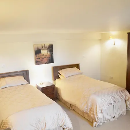 Chestnut * オールストン